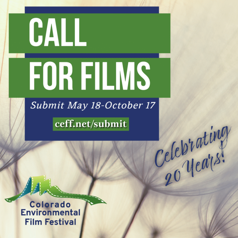 2025 call for films all dates