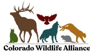 img 7567 samantha miller 300x170