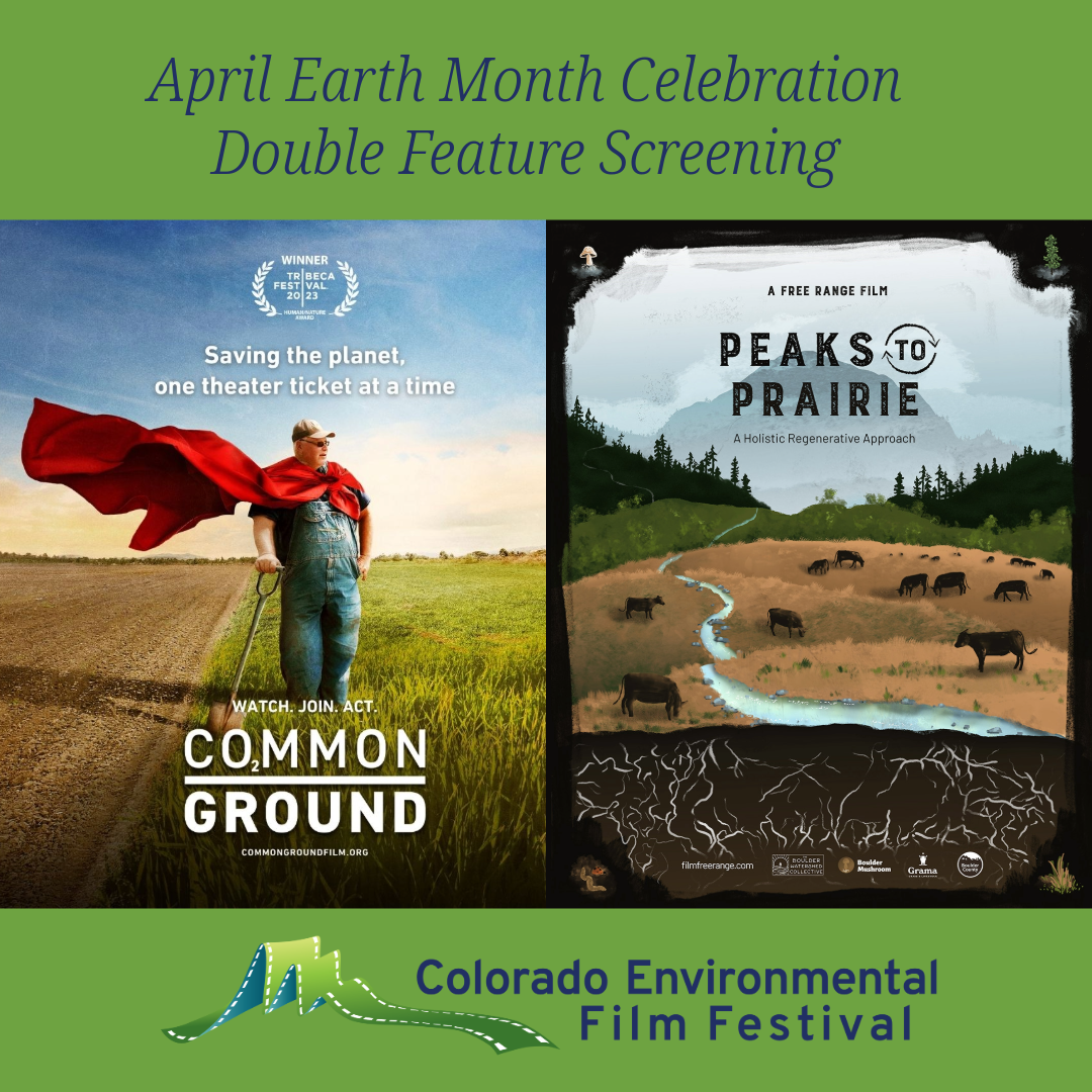 square image live screening